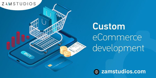 Tips for Budgeting Your Custom Ecommerce Development Project..1