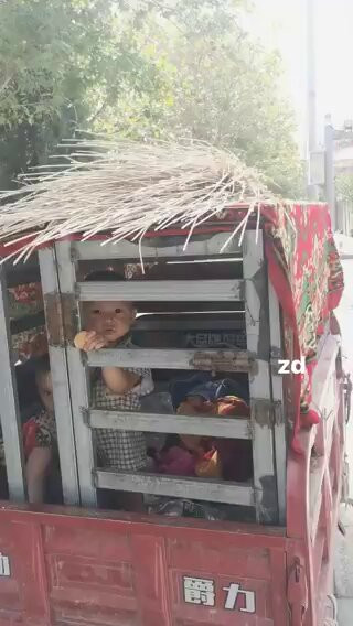 cZ6DO7nPvxQizsoO.1