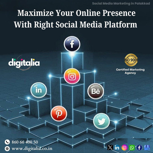social media marketing in Palakkad2 (1).1