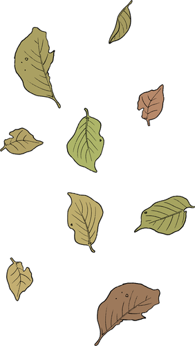 Bild 2024 09 13 225132881.png