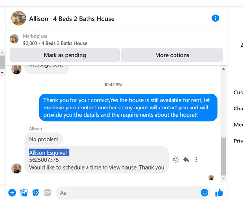 alis.jpg