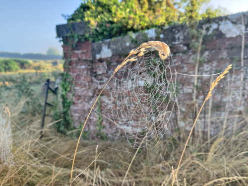 IMG 20240816 073346.jpg