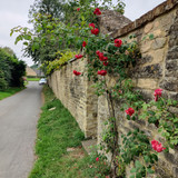 IMG 20240819 163726