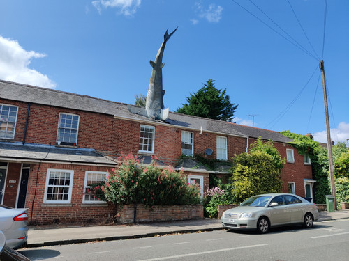 IMG 20240820 134129.jpg