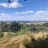 IMG 20240816 114208