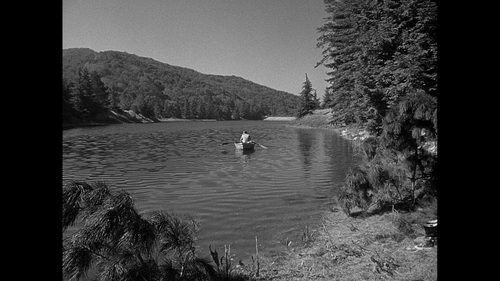 vlcsnap 2024 08 26 20h19m46s169.png