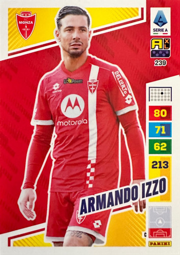 239.jpg