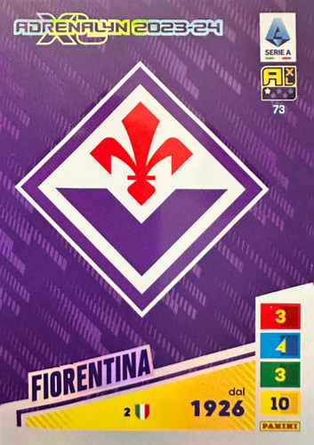 73.jpg