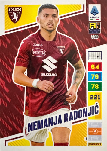 339.jpg