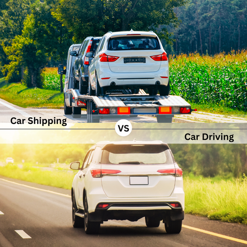 VS (Billboard (Square)).png