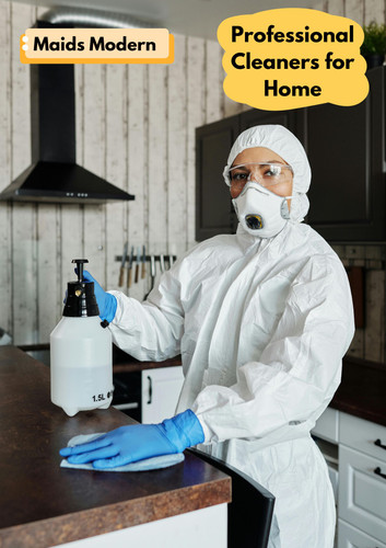 professional cleaning services Maidsmodern.jpg