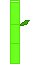 Bamboo.png