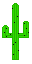Cactus.png
