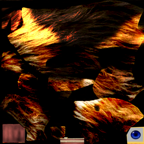 test beagle.png
