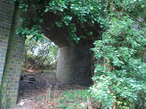 IMG 20240817 073330.jpg