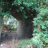 IMG 20240817 073330