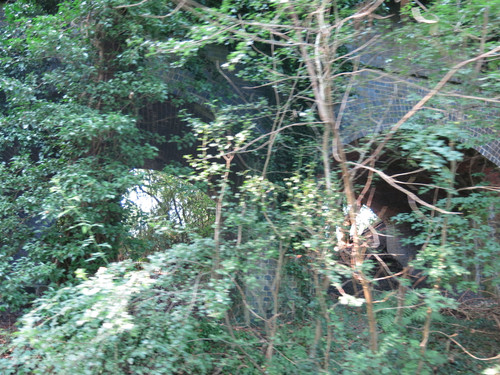 IMG 20240817 073326.jpg