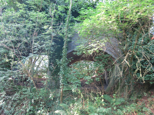 IMG 20240817 073321.jpg