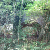 IMG 20240817 073321