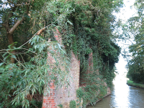 IMG 20240817 073346.jpg