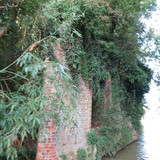 IMG 20240817 073346
