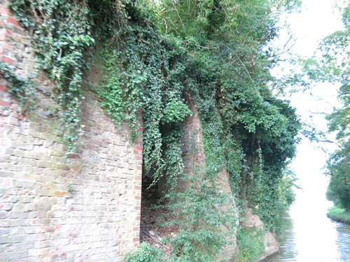 IMG 20240817 073343.jpg