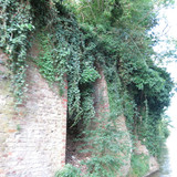 IMG 20240817 073343