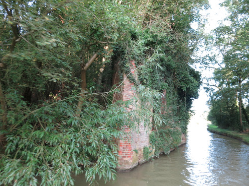 IMG 20240817 073348.jpg