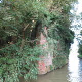 IMG 20240817 073348