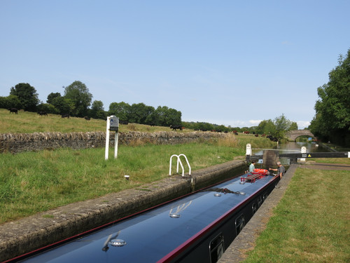 IMG 20240817 093854.jpg