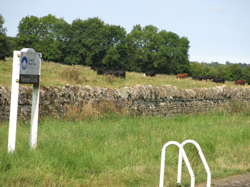 IMG 20240817 093859.jpg