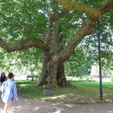 IMG 20240811 132716