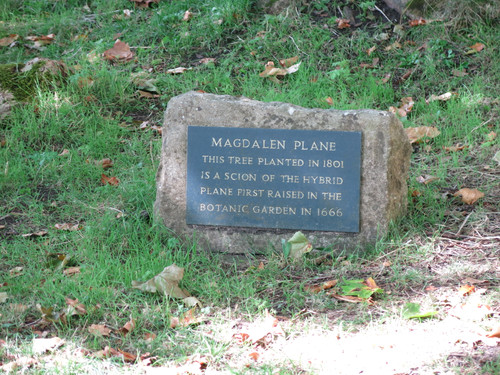 IMG 20240811 132738.jpg