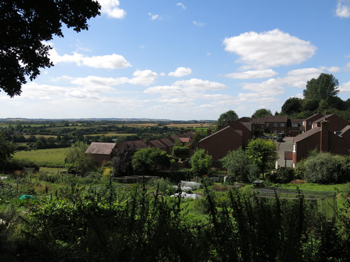 IMG 20240816 105317.jpg