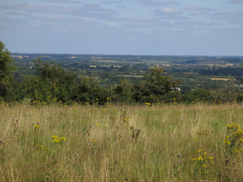 IMG 20240816 104310.jpg
