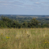 IMG 20240816 104310