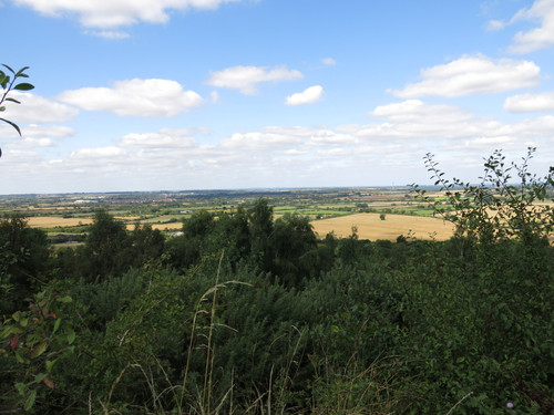 IMG 20240816 103254.jpg
