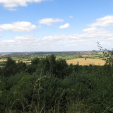 IMG 20240816 103254