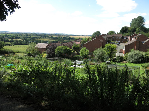 IMG 20240816 105321.jpg