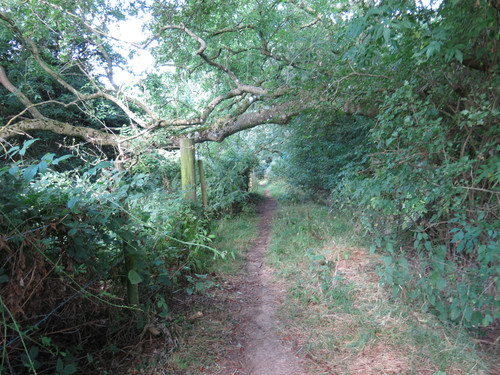 IMG 20240816 103452.jpg