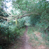 IMG 20240816 103452