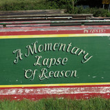 IMG 20240816 130942