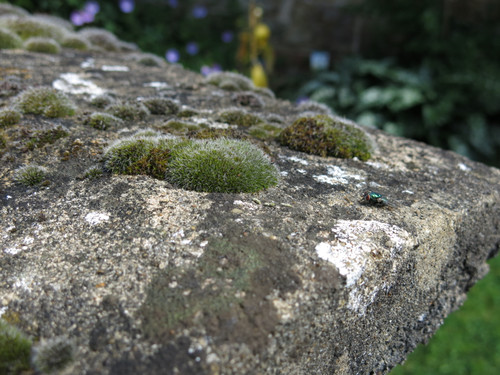 IMG 20240816 112241.jpg