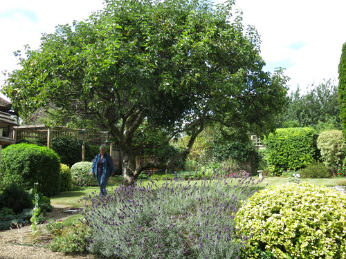 Back Garden in Oxford