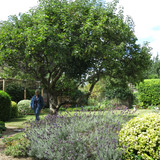 IMG 20240811 120408