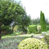 IMG 20240811 120451