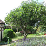 IMG 20240811 120445