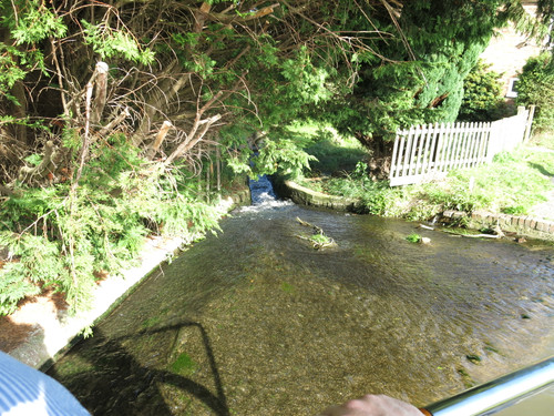 IMG 20240813 160644.jpg