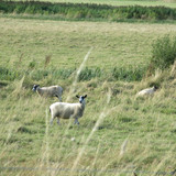 IMG 20240813 162200