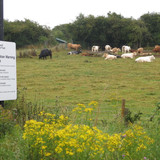 IMG 20240814 073203